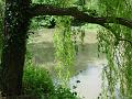 2002-0515MordenHall