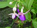 2002-0904fututr