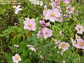 2002-0921flowwrs