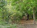 2002-0930Lowermordenlane