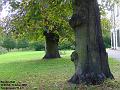 2002-1006MordenHall