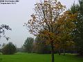 2002-1031CannonHillCommon