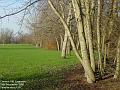 2002-1219CannonHill