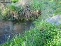 2003-0106pond