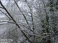 2003-0108CannonHillCommon