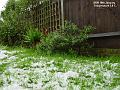 2003-0110snowyucca