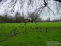 2003-0126CannonHill