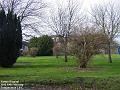 2003-0219sutton