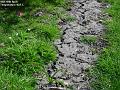 2003-0418crackedground