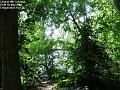 2003-0501CannonHillCommon
