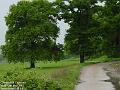 2003-0512CannonHill