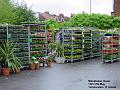 2003-0517wimchase
