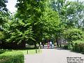 2003-0614MordenHallPark