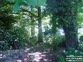 2003-0712ShorehamCemetry
