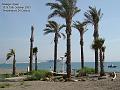 2003-1015Malaga