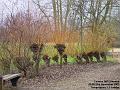 2003-1129CannonHill