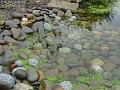 2003-1201pondstones