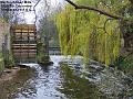 2003-1205mertonabbeymills