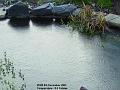 2003-1208FrozenPond