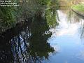 2003-1221wandle
