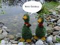 2003-1225ducks