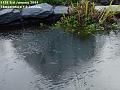 2004-0103pond