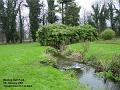 2004-0105MordenHall