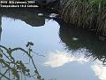 2004-0108pond