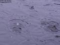 2004-0112raindrops