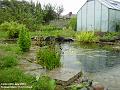 2004-0120Pond