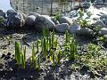 2004-0124spring