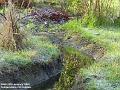 2004-0125meadow