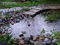 2004-0206Rain