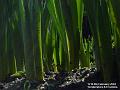 2004-0208spring