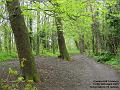 2004-0413CannonHill