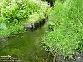 2004-0514MordenPark