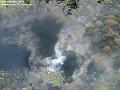 2004-0518pondsun