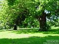 2004-0519CannonHill