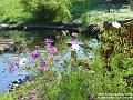 2004-0901Pond