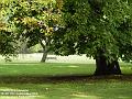 2004-0913CannonHill