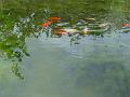 2004-0914pond