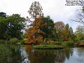 2004-1029wisley