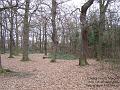 2005-0101cherrywood