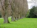 2005-0119lowermorden
