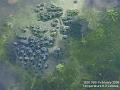 2005-0215frogspawn