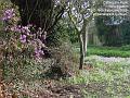 2005-0218cannizaropark
