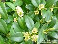2005-0314greenbush