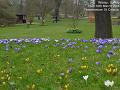 2005-0316Wisley