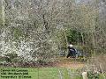 2005-0319cannonhill