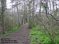 2005-0323mordenpark